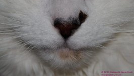 029 Spooky-130129-Cropped_01.jpg