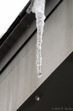 DSC_3336.jpg