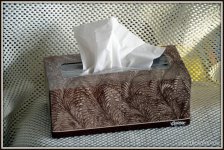 kleenex 001.jpg