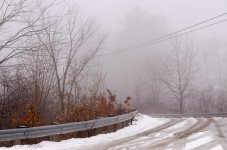 DSC_3354.jpg