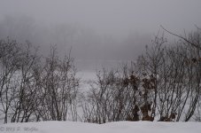 DSC_3355.jpg