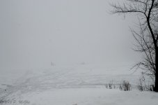 DSC_3362.jpg