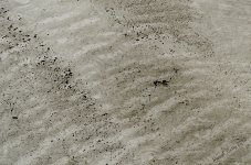 Ripples on ice.jpg