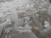 030-Choconut Creek-130130-07_01.jpg