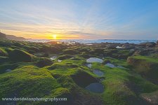 _D8A7927 HD-PS.jpg