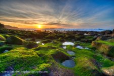 _D8A7932_3_4_5_6-2.jpg
