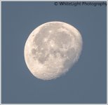 20130129-dsc_6269-2.jpg