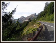 MT RAINIER NP 08 (259).jpg