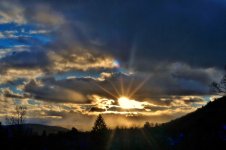 DSC_1264 (800x533) (2).jpg