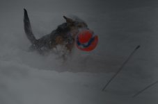 DSC_4715.jpg
