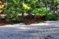DSC_3370_tonemapped.jpg