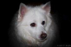 DSC_3376.jpg