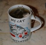 031 A Cup of Oolong-130131_01.jpg
