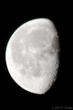 DSC_3380.jpg