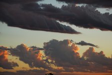 DSC_0241.JPG