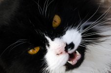 Day33BiteWeb.jpg