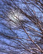 DSC_2372_5425_3_5426_4_5427_tonemapped.jpg