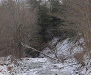 033 Winter Stream-130202-Cropped_01.jpg