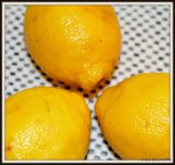 lemon 001.jpg
