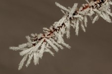 Day34FogCrystals.jpg