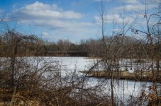 DSC_3460.jpg