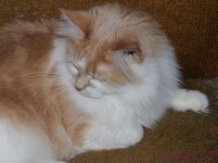 035 Creature-130204-Cropped_01.jpg