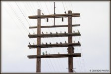 OREGON TRIP 351.jpg