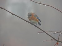 DSCN3404.jpg
