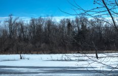 DSC_3515_6_7_tonemapped.jpg