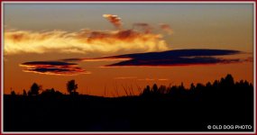 SUNRISE 049-001.jpg