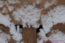 039 Snow Bench-130208_01.jpg