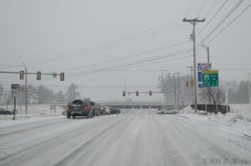 DSC_3531.jpg