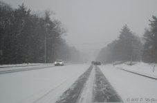 DSC_3537.jpg