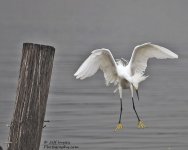 _DSC5662.jpg