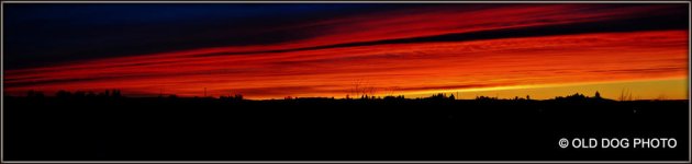 SUNRISISE 600 026 Stitch.jpg