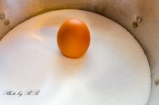 20130209-_1RB2865.jpg