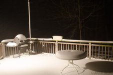 DSC_3544.jpg