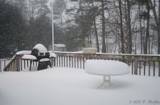 DSC_3549.jpg