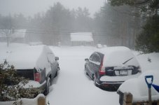 DSC_3550.jpg
