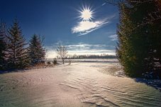 color of snow 1200.jpg