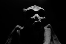 Day40GargoyleWeb.jpg