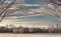 ice morning 1200.jpg