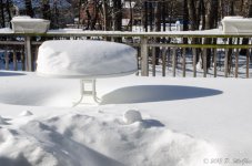 DSC_3577.jpg