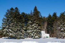 DSC_3580.jpg