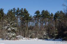 DSC_3581.jpg