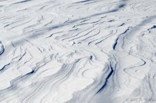 DSC_3587.jpg