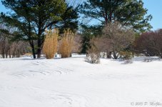 DSC_3592.jpg
