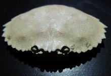 DSCN4089.jpg