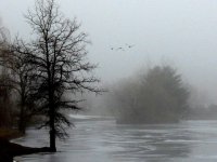 DSCN4112a.jpg