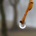 DSCN4107a.jpg
